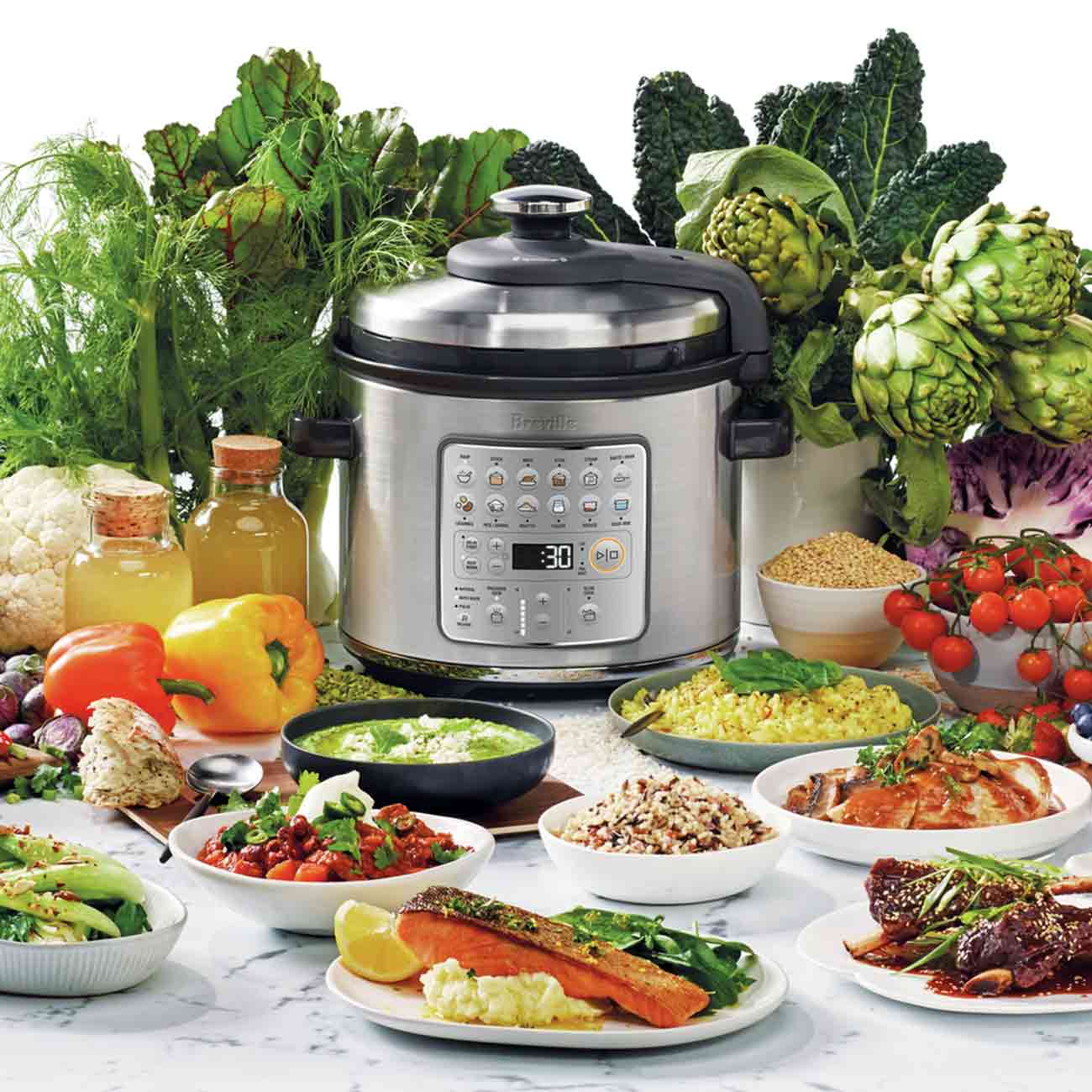 the Fast Slow Go™ Cooker • Breville